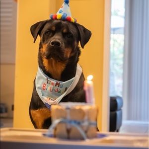 Meet your Posher, Gina